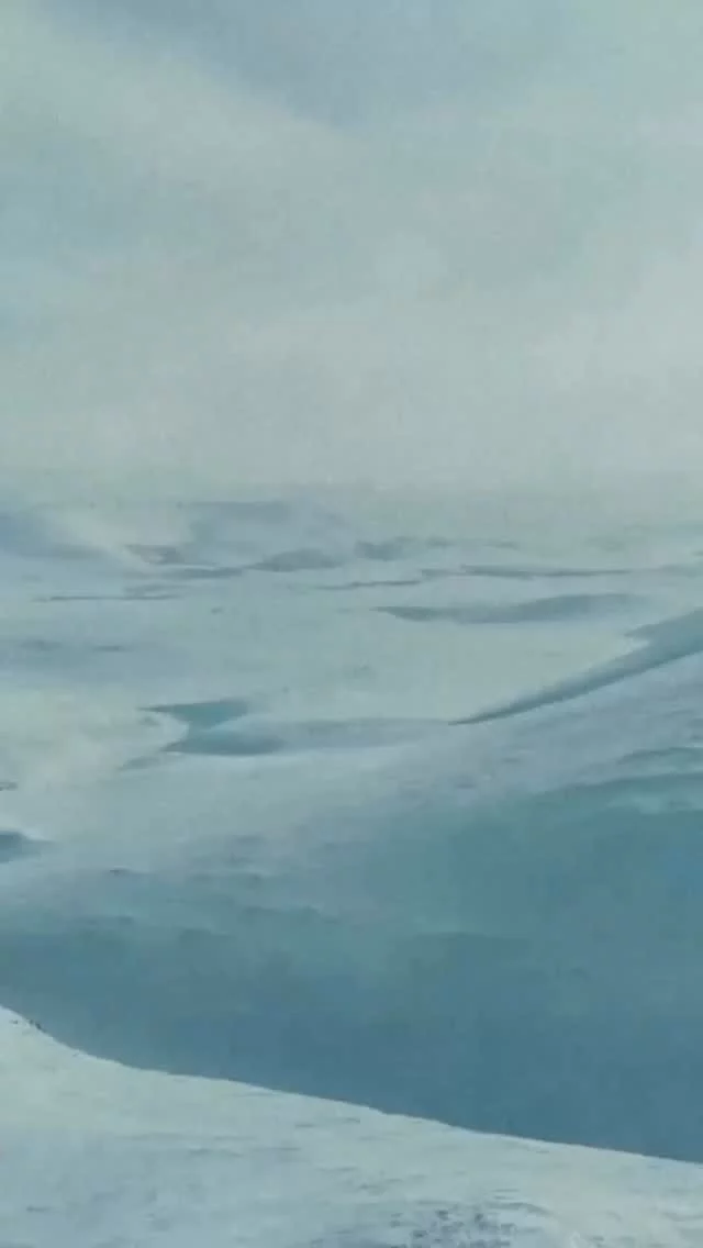 MONCLER + JIL SANDER
Inspiriert von der Natur werden in Formen, Silhouetten und Farben der Kollektion zu einer Ode an die Schönheit der Natur.
@moncler #moncler #monclerjilsander #michaelmeyerstores