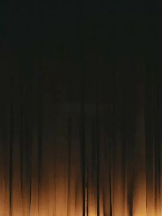 BRUNELLO THE GRACIOUS VISIONARY 

Thank you for a wonderful evening. @brunellocucinelli @brunelloilvisionariogarbato #brunellocucinelli #Brunellofilm #filmpremiere #documentary #roma