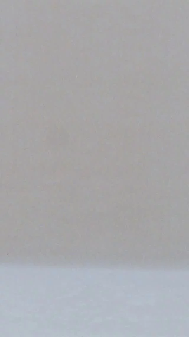 DISCOVER NOW: THE NEW 
THE ROW POP-UP AT MICHAEL MEYER GSTAAD!
#therow #gstaad #michaelmeyerstores #popup